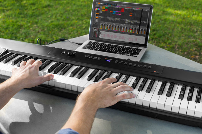 Digital Piano vs Keyboard: Which One Should You Buy?