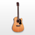 Washburn Apprentice Electro-Acoustic Guitar, Natural