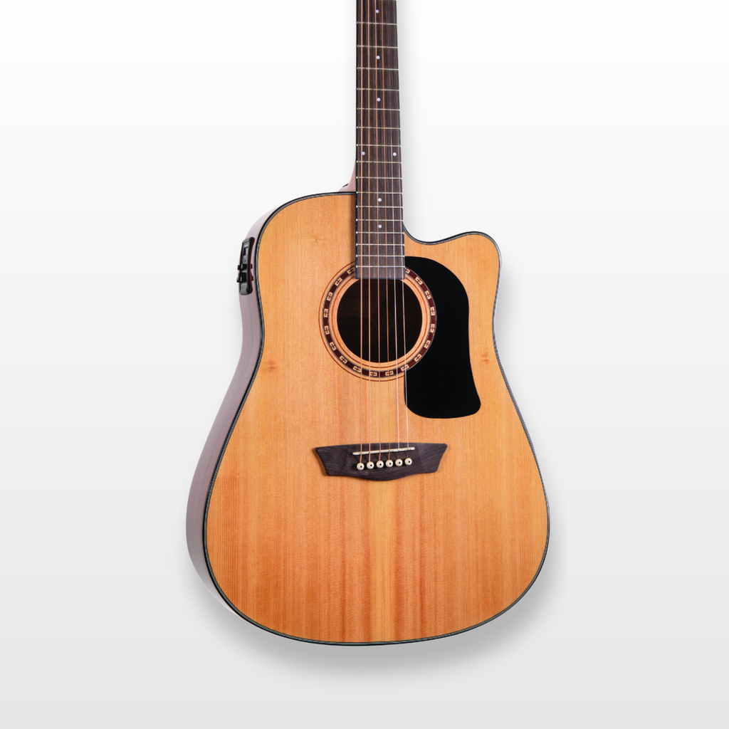 Washburn Apprentice Electro-Acoustic Guitar, Natural