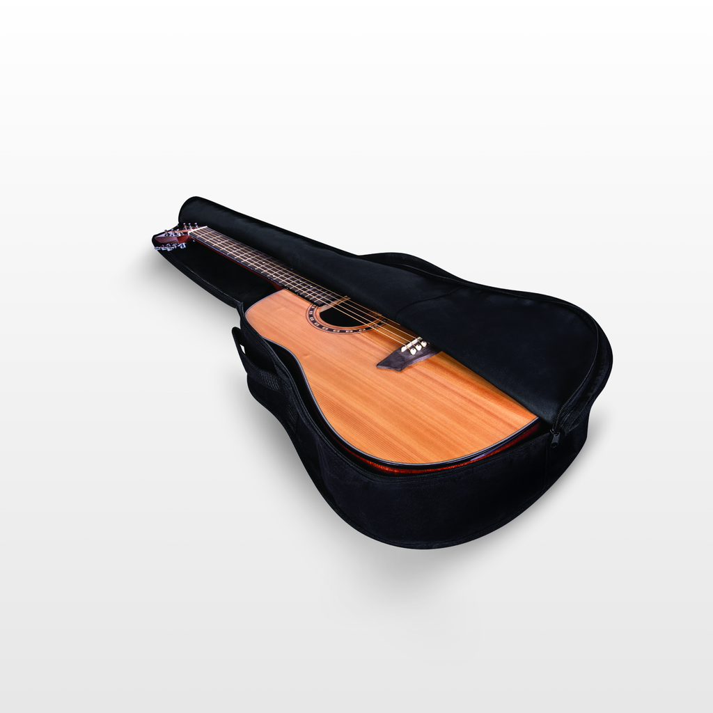 Washburn Apprentice D5CE Electro-Acoustic Guitar Pack, Natural