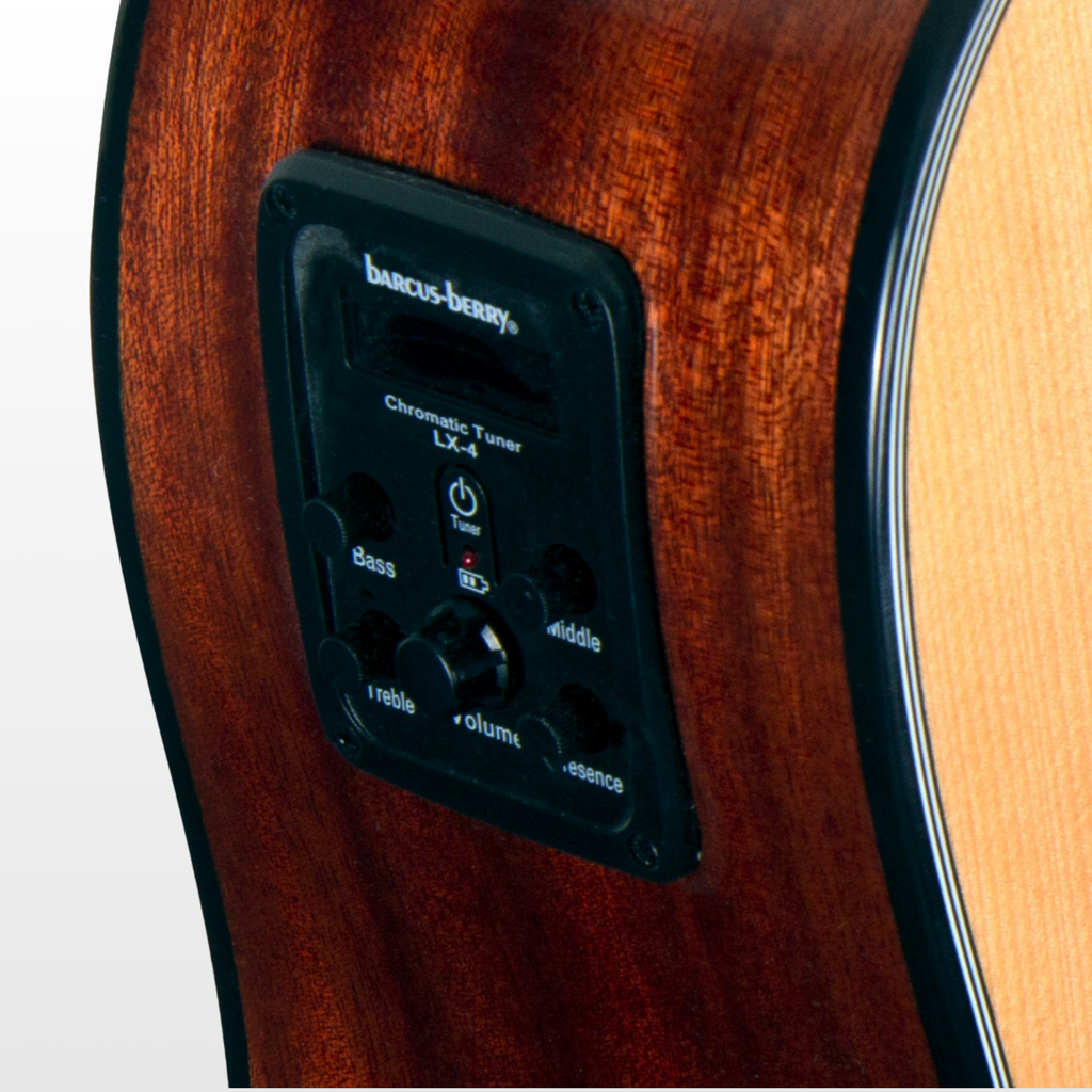 Washburn Apprentice D5CE Electro-Acoustic Guitar Pack, Natural