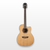 Washburn Apprentice Eletro-Acoustic Guitar, Natural