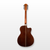 Washburn Apprentice Eletro-Acoustic Guitar, Natural