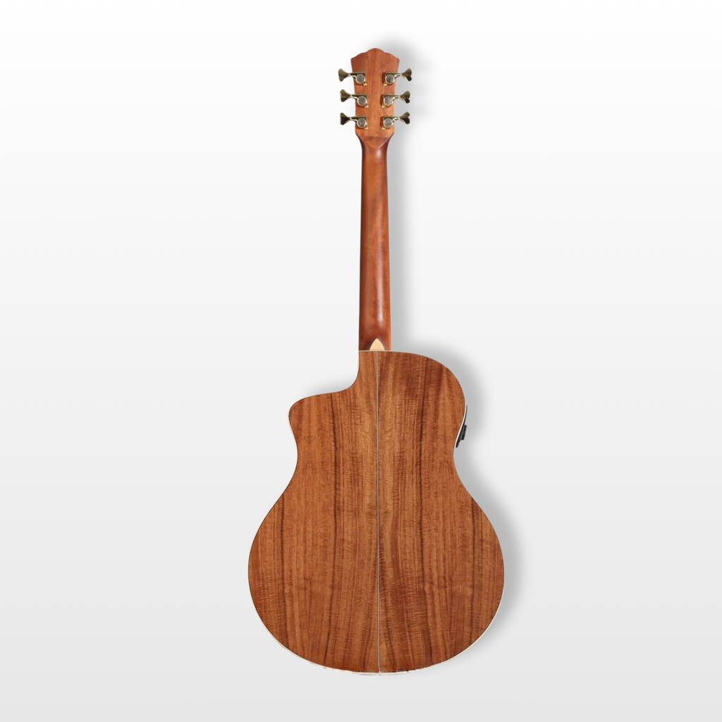 Washburn Bella Tono Suprema Electro-Acoustic, Natural