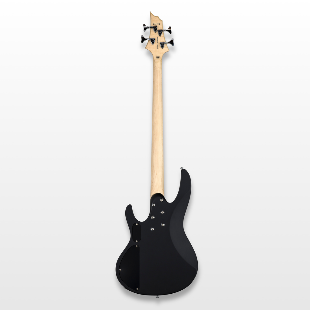 ESP LTD B-10 جيتار بيس كهربائي، أسود مطفأ