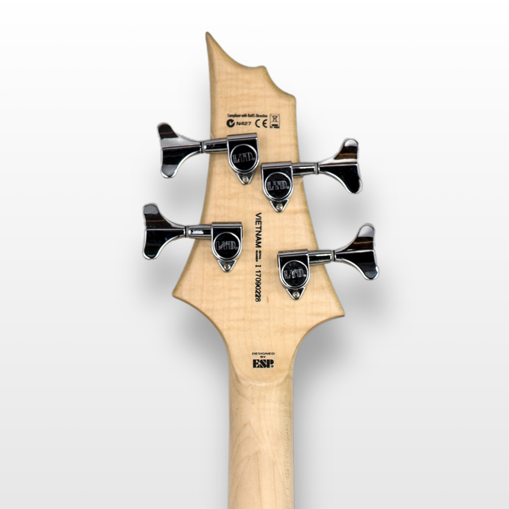 ESP LTD B-10 جيتار بيس كهربائي، أسود مطفأ