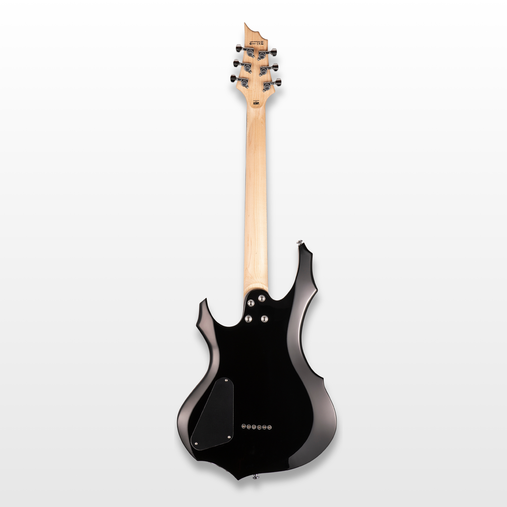 ESP LTD F-10 Electric Guitar, Black