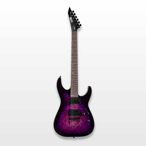 ESP LTD M200DX Electric Guitar, Purple Burst