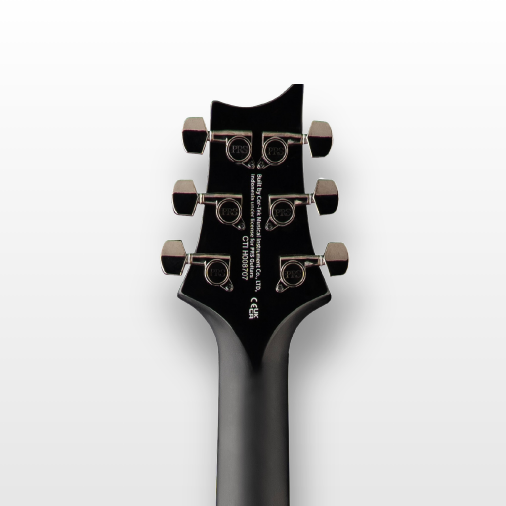 PRS SE Mark Holcomb Signature Blue Burst