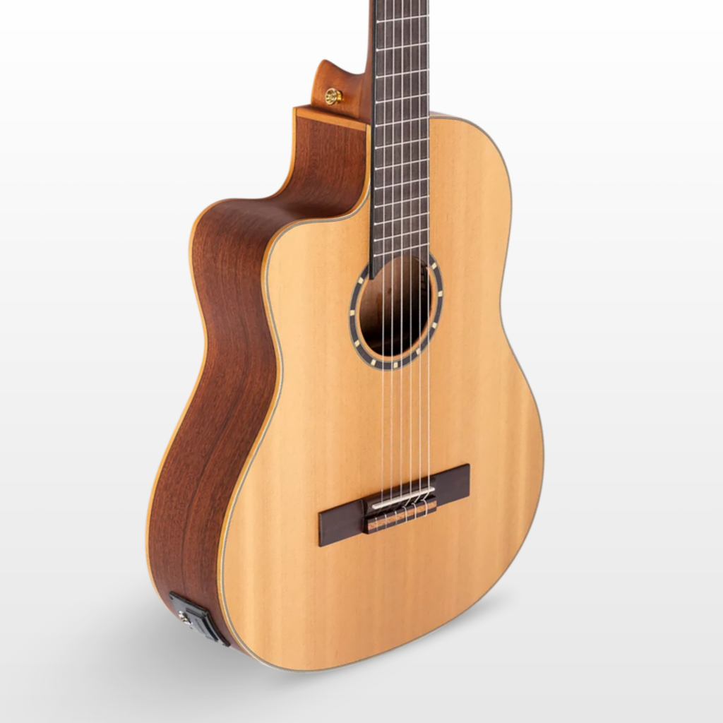 Ortega Lefty Family Series Pro Guitar, 4/4