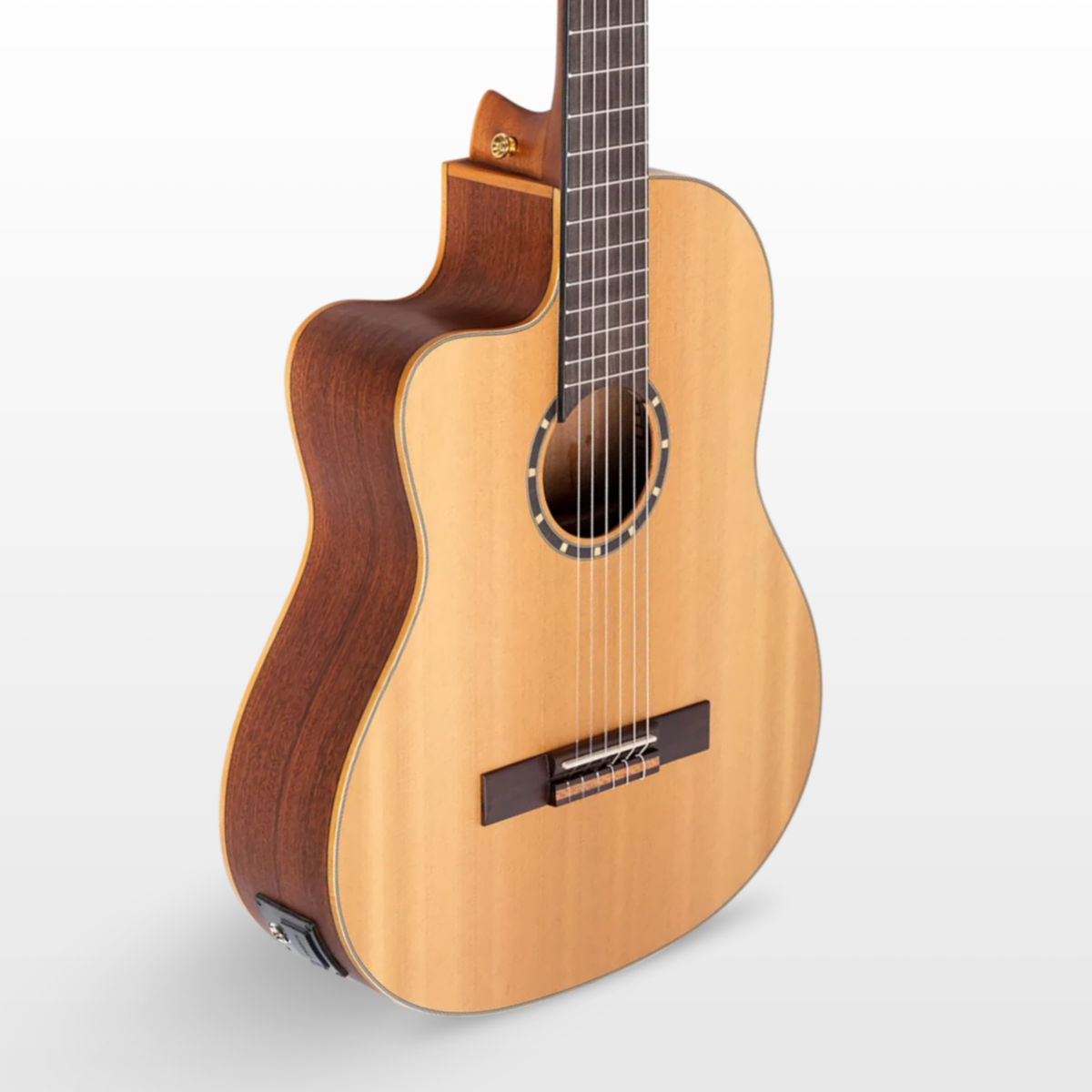Ortega Lefty Family Series Pro Guitar, 4/4