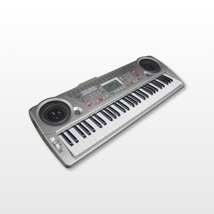 Ringway TB820 61-Keys Oriental Keyboard Silver