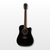 Washburn Vintage Electro-Acoustic Guitar, Black